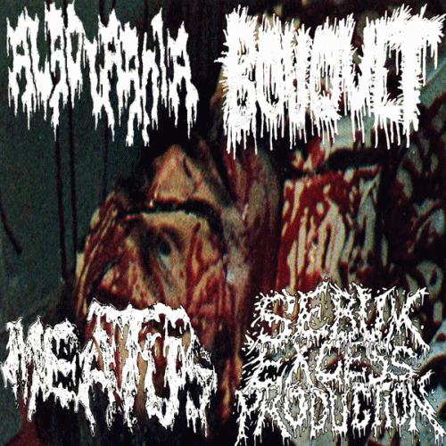 Sebum Excess Production : Algolagnia - Meatus - Bouquet - Sebum Excess Production